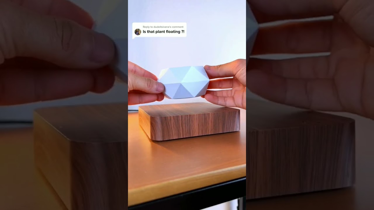 Magnetic Levitation Flower Pot Bonsai Air Floating Plant Potted For Home Desk Decoration Creative