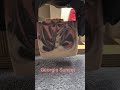 The Cut- Georgia Sunset hanger swirl Tobacco and Peach scent #coldprocesssoap #soap #soapmaking
