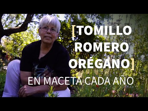 Consejos 🌱 TOMILLO, ROMERO y ORÉGANO todo el año