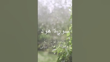 Surah Hud 41-43 | سورة هود