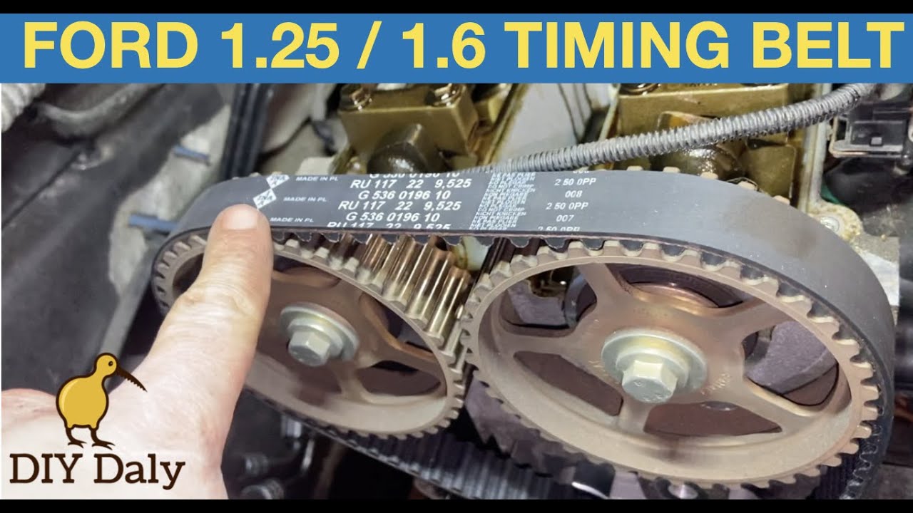 bod Auckland Doe mijn best Ford 1.25 / 1.4 / 1.6 16v Zetec Petrol Timing belt & water pump replacement  - YouTube