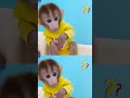 Monkey Baby Shark | Nursery Rhymes &amp; Kids Songs |Bobby Kids Songs #babysong