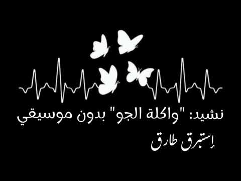 واكلة الجو بدون موسيقى وبدون إيقاع أناشيد أفراح