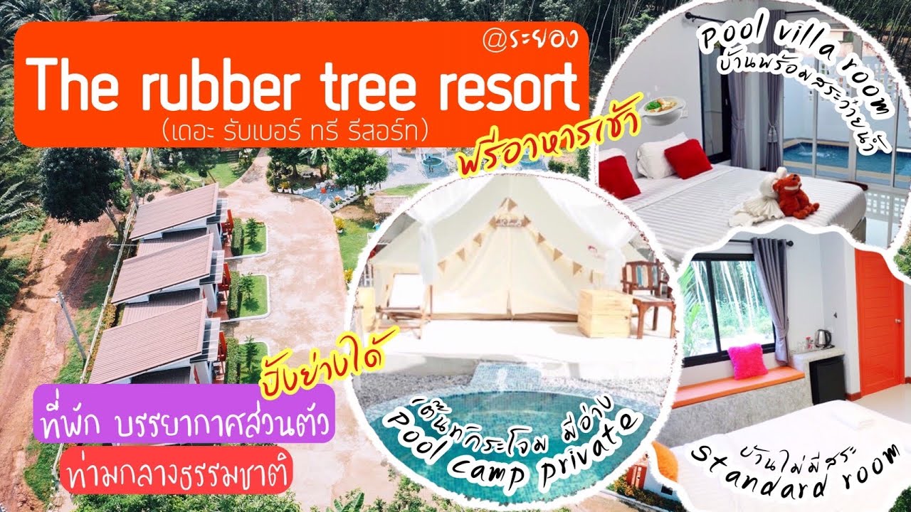 The Rubber Tree Resort @ระยอง ที่พัก Pool villa ส่วนตัว - YouTube