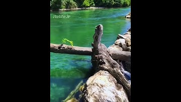 سورة التين بصوت جميل جدا جدا