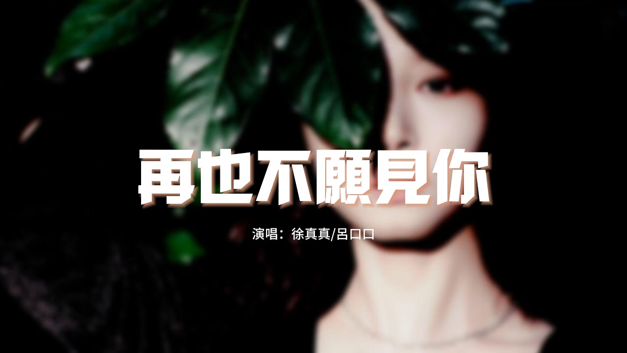 徐真真/呂口口 - 再也不願見你(愛如潮水)『我再也不願見你在深夜裡買醉,不願別的男人見識你的嫵媚。』【動態歌詞MV】