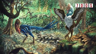 The Dawn Chicken From Hell - New Hell Creek Dinosaur Named | 7 Days of Science