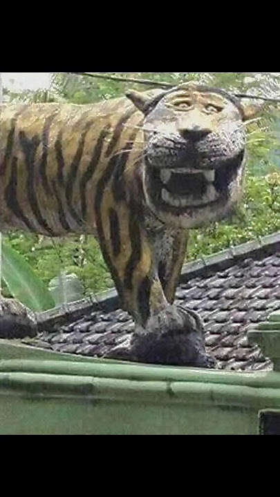 Harimau Malaya Versi Patung Macan Bikin Ngakak #harimaumalaya #trending #meme