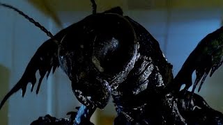 Insecto (1987) Pelicula completa en español