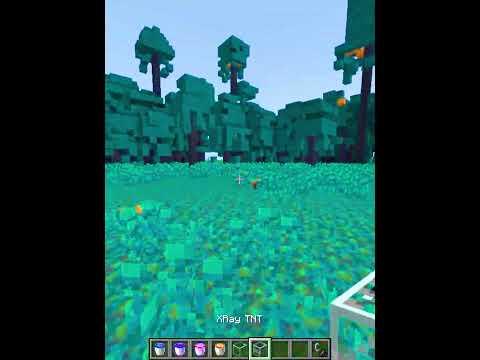 I Tested Secret X-Ray TNT in Minecraft! 😱 #Minecraft #MinecraftMods #gaming #shorts