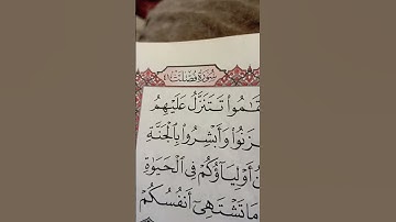 إن الذين قالوا ربنا الله ثم استقاموا#سورة فصلت#آيه29جمال الكلمات والوصف لله عز وجل سبحان الله دعمكم