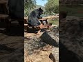 شكلي وانا انتظر الإكل