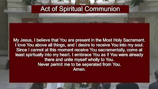 Daily Rosary & Mass | 2026.07.14