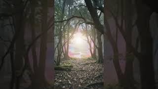 this discovery SAVED MY LIFE #1212 #spiritualjourney #god #love #redemption #comeback #444 #1010