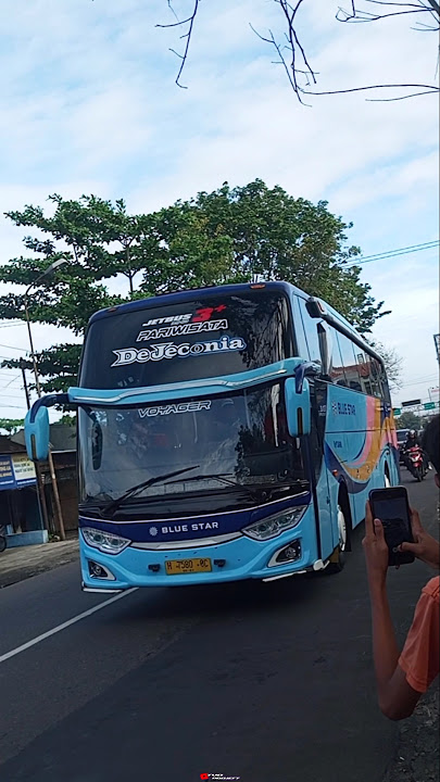 Basuri Marsha Modul OKDJ🥵🤙|Bus Blue Star💙DEJECONIA💙#basuri#busbasuri#huntingbus#busmania#tyoproject