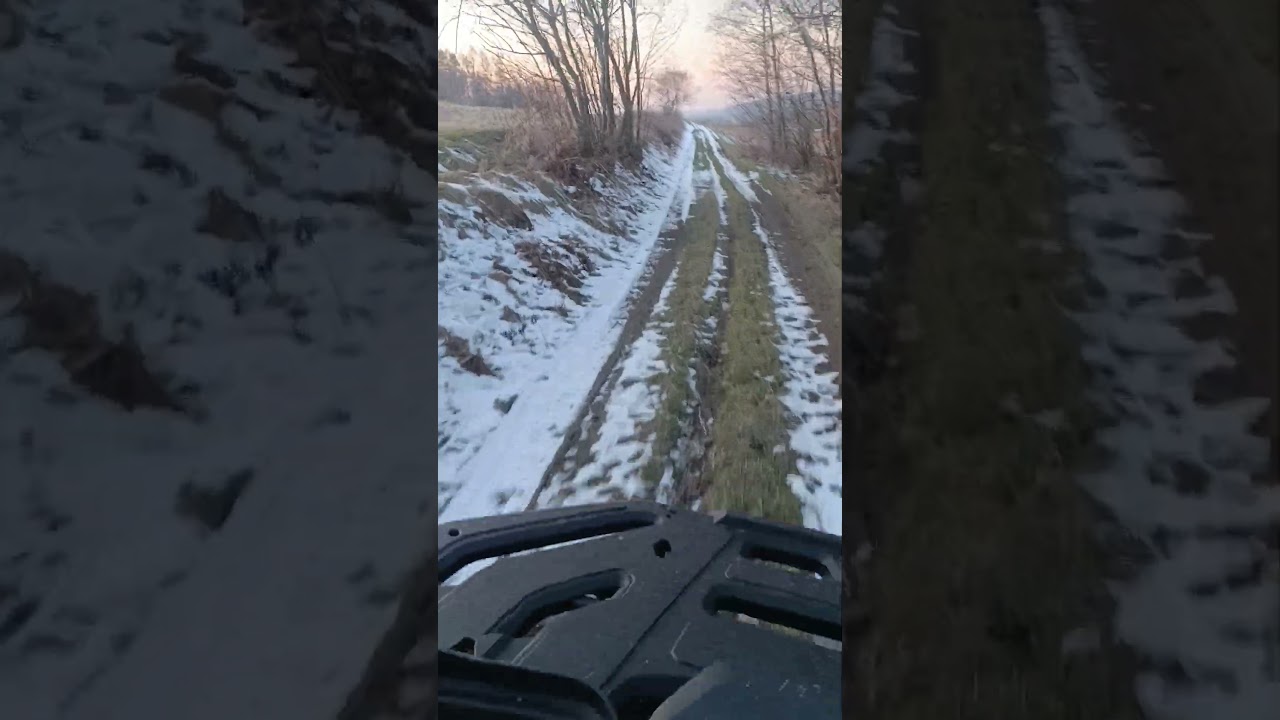 Segway at5 kontra mały 🦌