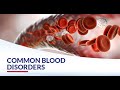 Blood Disorders Uncovered: Types, Symptoms, and Treatments