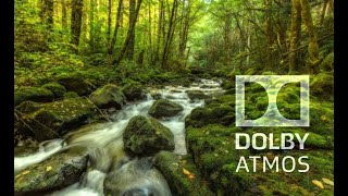 Experience the real Dolby Atmos sound "RAIN FOREST"