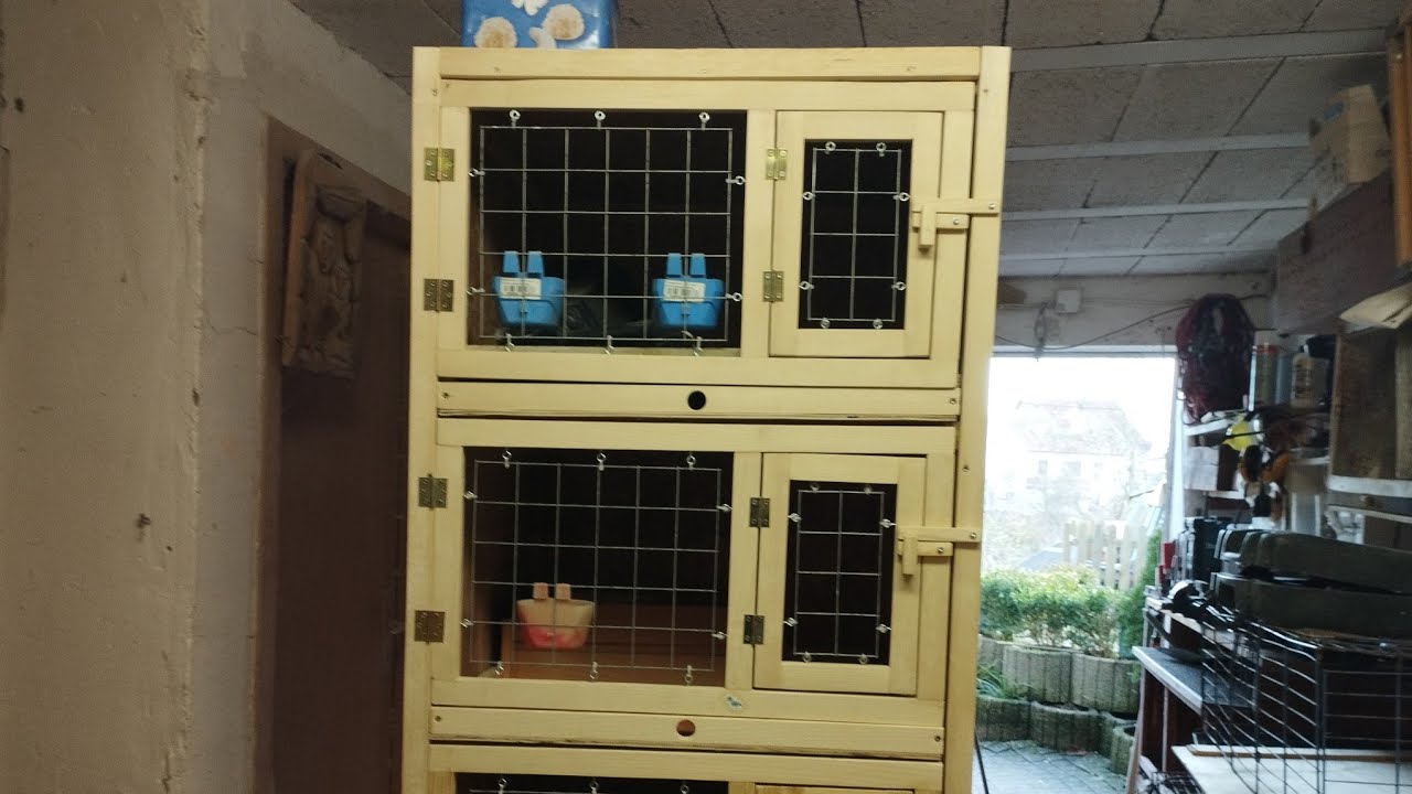 Паровочные клетки для голубей своими руками