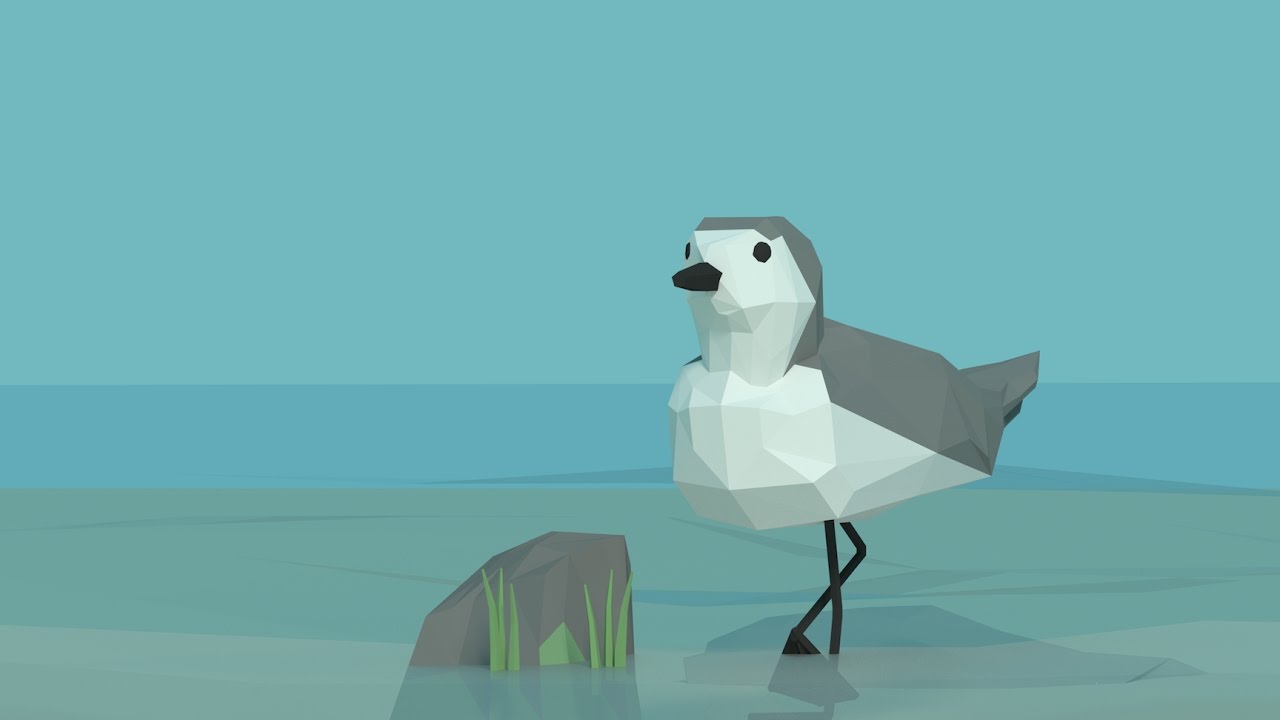 Cute Seabird (Black Bellied Plover) Low Poly Art Timelapse