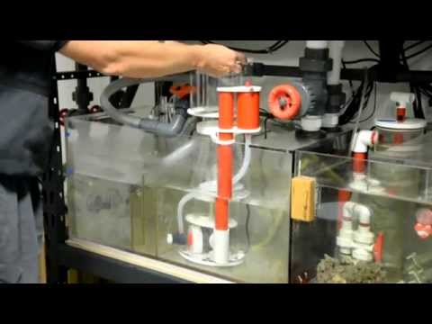 best quietest protein skimmer