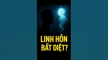 Khoa Học Giải Mã Linh Hồn: Con Người Có Thật Sự Chết Không?