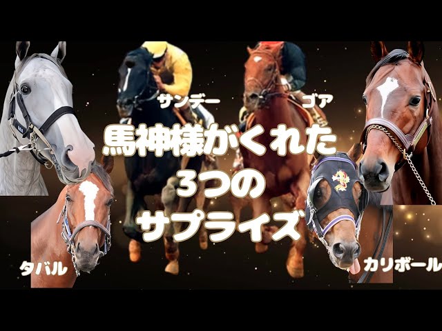 競馬 ゴールドシップ 宝塚記念 Lサイズ 未開封 宝塚記念で馬神様がくれた3つのサプライズ Gold Ship Great