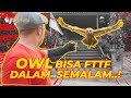 BURUNG HANTU GUE BISA FTTF DALAM SEMALAM..!