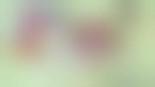 Download lagu Opening Anime Jadul Honey Bee Hutch (1970-1971) @ Fuji Television