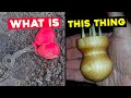 Mysterious Objects That Stunned the Internet - r/whatisthisthing