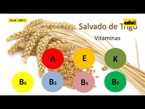 Vídeo: Pan Con Salvado De Trigo: Contenido Calórico, Propiedades útiles, Valor Nutricional, Vitaminas