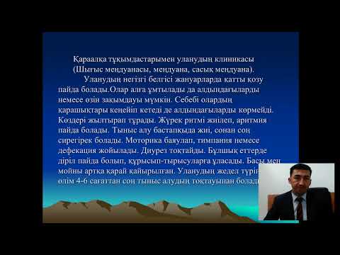 Бейне: Белена - улы өсімдік. Улы өсімдіктермен улану. Хенбан қара