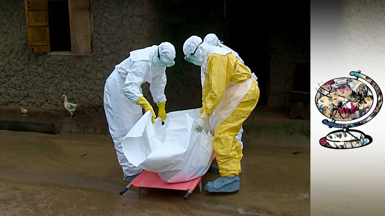 New Ebola virus found in Sierra Leone