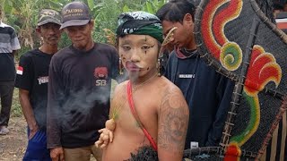 live jaranan hari ini putro singo barong tebel bareng  jombang