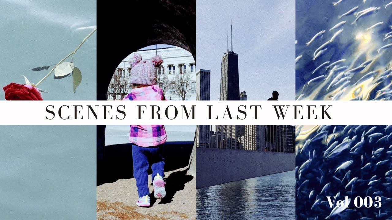 Scenes From Last Week | Vol_003 - YouTube