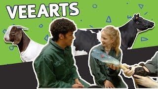 WAT DOET EEN VEEARTS ALLEMAAL? // Willem Wever // #87