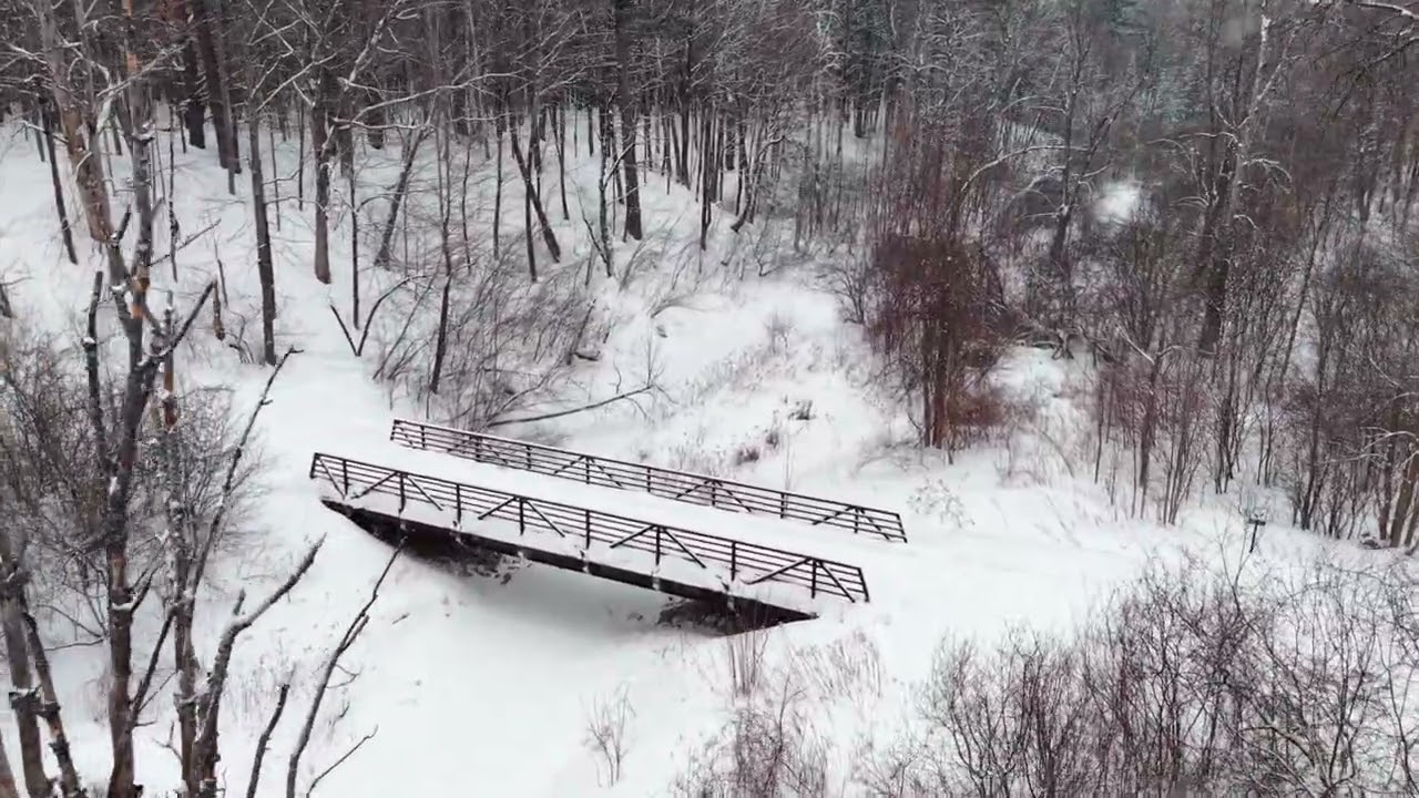 2026-02-25 Forêt du Sentier des Voyageurs en hiver, Gatineau Québec Canada 