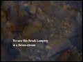 BROOK LAMPREYS SPAWNING Mp3 Song