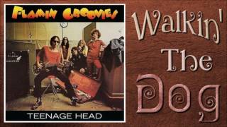 Watch Flamin Groovies Walkin The Dog video