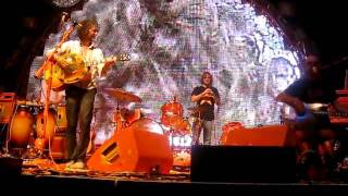 The Flaming Lips - I Can Be A Frog