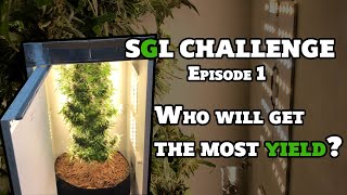 How to build a DIY stealth grow box -  SuperGreenLab challenge - episode 1