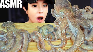 咀嚼音 韓国 男 タコの踊り食い 活タコ 刺身 モッパン モクバン ASMR RAW OCTOPUS ASMR SEAFOOD MUKBANG KOREAN EATING SOUNDS 산낙지 먹방