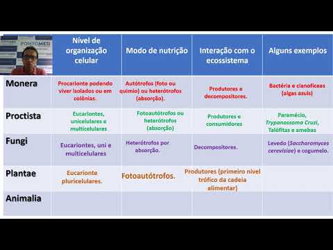 Vídeo: Reinos Superiores - Vista Alternativa