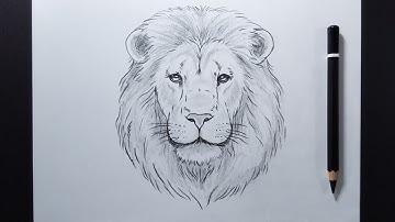 How To Draw a Lion