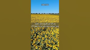 سورة البقرة الآية 6 و 7