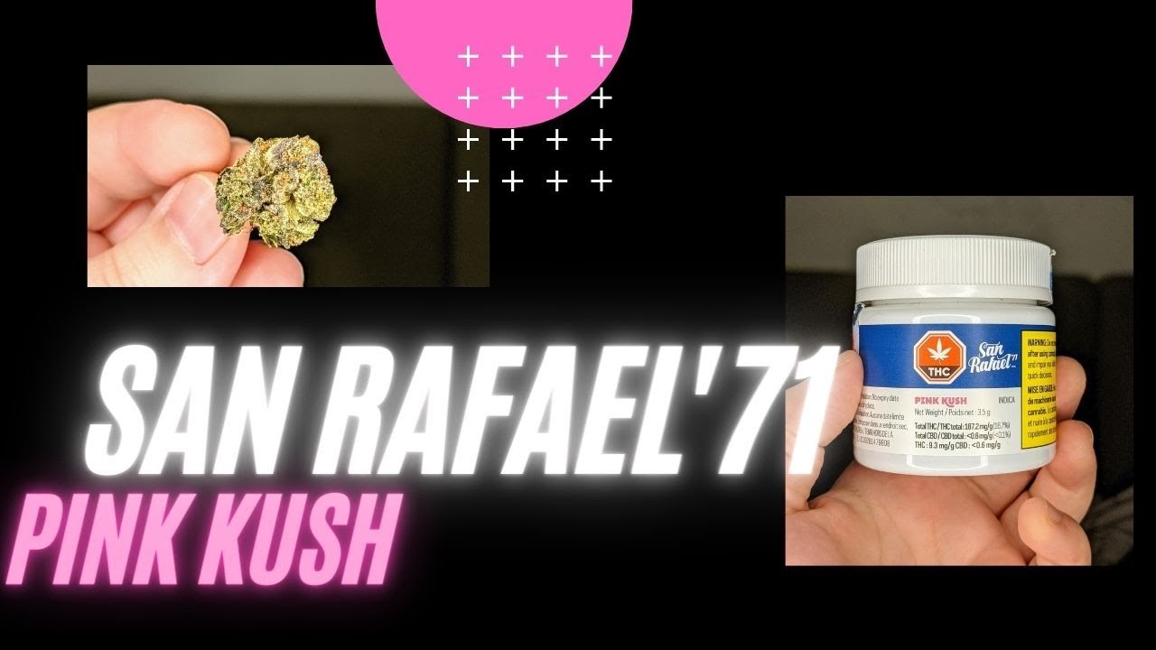 San Rafael '71 Pink Kush Cannabis Review