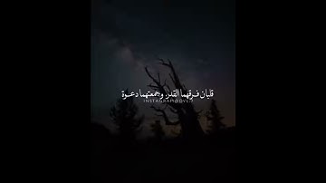 #تلاوات #ماهر_المعيقلي #ياسر_الدوسري #ناصر_القطامي #السديس #خالد_الغامدي(14)
