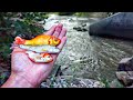 Fishing w/ LIVE GOLDFISH In A TINY HIDDEN Creek!!! (Unexpected Catch)