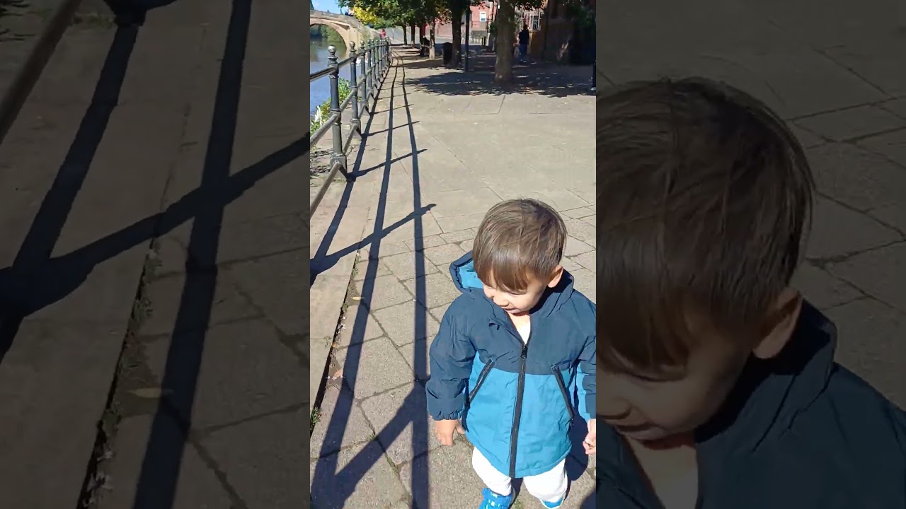 Наблюдение за лебедем на берегу реки