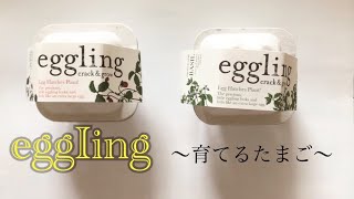 eggling〜可愛いたまごの栽培キット